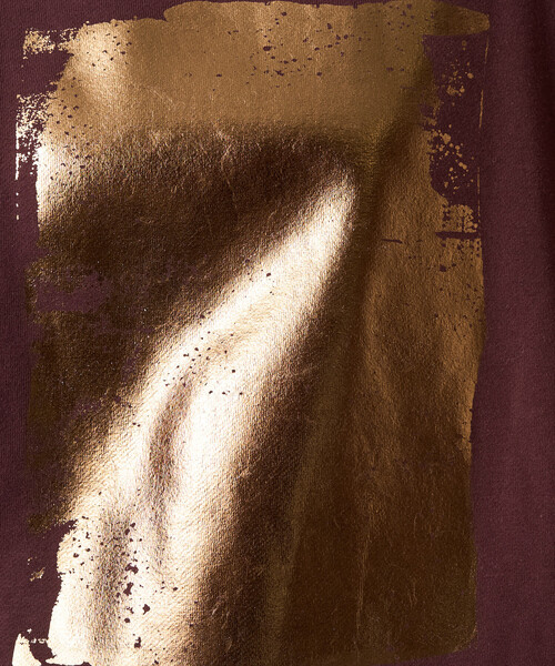 セール】限定展開 箔 プリント 裏起毛 スウェット（スウェット