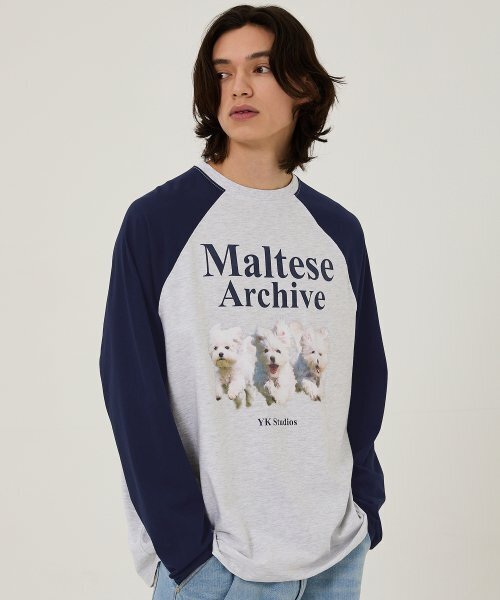 WaiKei(ワイケイ)の「マルチーズアーカイブラグランロングスリーブTシャツメランジホワイト(Tシャツ/カットソー・メンズ・その他・2/0/1)」の4枚目の写真