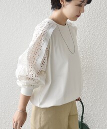 SHIPS(�V�b�v�X)�́yWEB����z�q��􂢉\�r���[�X �R���r �J�b�g�\�[(T�V���c/�J�b�g�\�[)