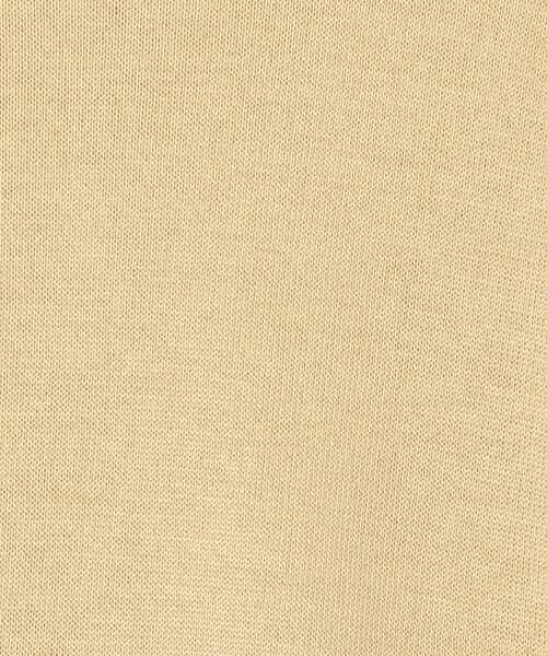BALLSEY(ボールジィ)の「【WEB先行予約】エヴァーシルク クルーネックプルオーバー(ニット/セーター・レディース・キャメル/ブラック/ライトベージュ・S)」の14枚目の写真