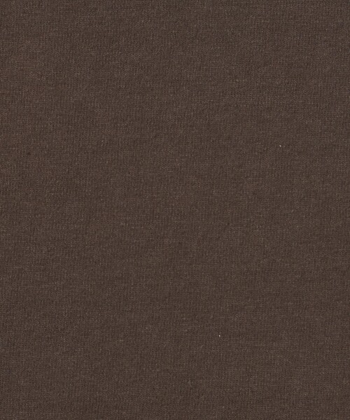 conte(コンテ)の「<conte>ビッグ クルーネックTシャツ(Tシャツ/カットソー・レディース・ベージュ/ダークブラウン/ホワイト・FREE)」の17枚目の写真