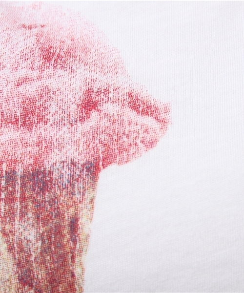 WEGO（ウィゴー）の「WEGO/スウィートTシャツ（Tシャツ/カットソー・レディース・ライトピンク/オフホワイト・FREE）」の12枚目の写真