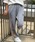 Mark Gonzalesi}[NESUXj́uMARK GONZALES ART WORK/}[NSUXywebz}`J[ASXEFbgpciXEFbgpcjvbAbVO[