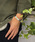 amp japaniAvWpj́uGerman Silver Plane Bangle-Narrow-(W[}Vo[ v[ i[ oO)ioO/XgohjvbVo[