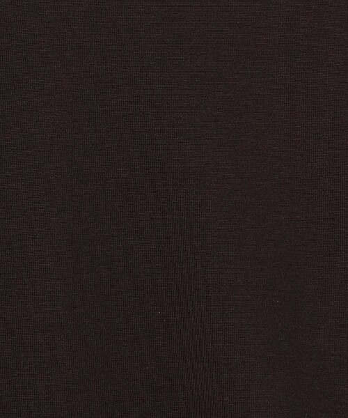 GALERIE VIE（ギャルリー ヴィー）の「ファインコットン クルーネックTシャツ（Tシャツ/カットソー・レディース・チャコールグレー/ブルー系その他2/ライトブルー/グレー系その他/ネイビー・FREE）」の15枚目の写真