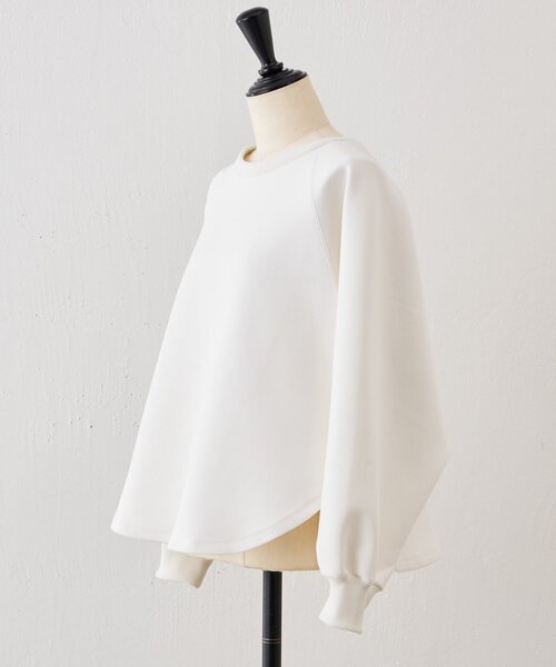 ダンボールサークルプルオーバー（Tシャツ/カットソー）｜BEARDSLEY