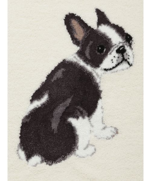 gelato pique（ジェラートピケ）の「【HOMME】パウダーノルディック