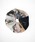 LY�i�G�����C�j�́u�yLY�zHaarelastiek �v�����g�V���V���i�V���V���j�v�b���̑�1