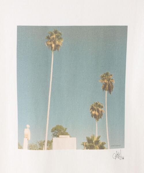 green label relaxing（グリーンレーベルリラクシング）の「[ XS / H148-155cm ]★★SC フォトプリント ショートスリーブ Tシャツ（Tシャツ/カットソー・レディース・その他1/その他2・XS）」の12枚目の写真