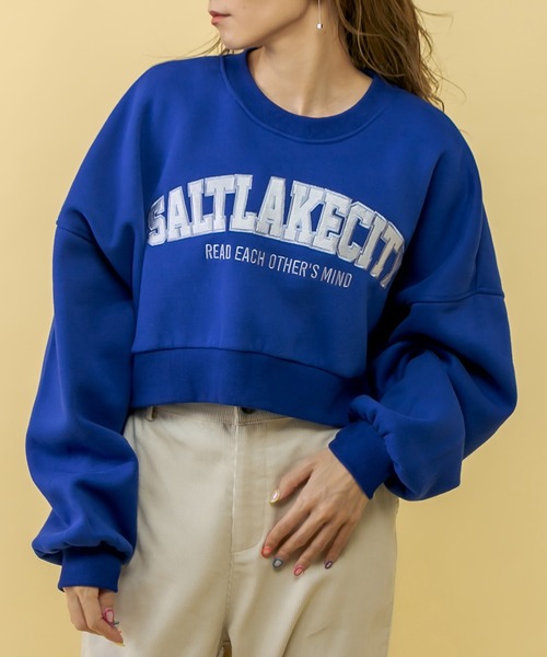 RASVOA（ラスボア）の「ＳＡＬＴＬＡＫＥＣＩＴＹクロップドトレーナー（スウェット・レディース・ブラック/グレー/ブルー/グリーン・FREE）」の22枚目の写真