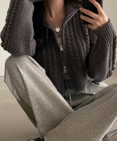 HALEY PESCA(ヘーリーペスカ)の「HALEY PESCA/ショート丈 ダブルジップ ニットトップス(ニット/セーター・レディース・ライトグレー/アイボリー/ダークグレー・FREE)」の14枚目の写真