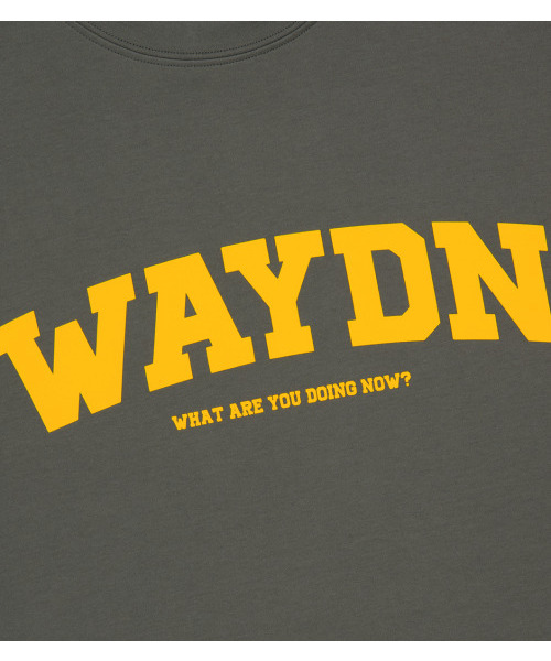 WAYDN(ウェイドゥン)の「ラウンディングロゴオーバーサイズ半袖カーキ(Tシャツ/カットソー・メンズ・その他・SMALL/X-LARGE/XX-LARGE/LARGE/MEDIUM)」の4枚目の写真