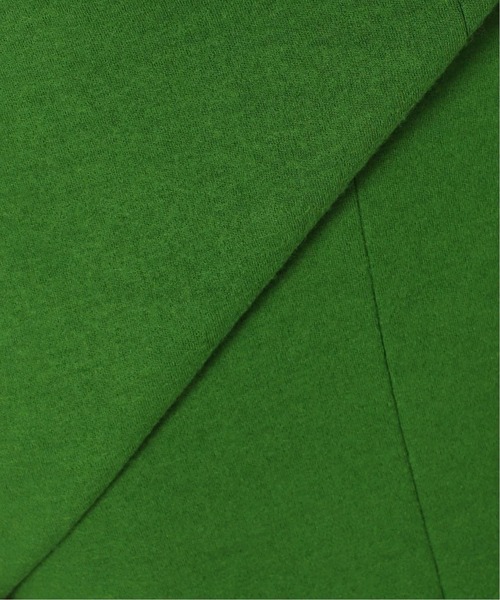 journal standard L'essage（ジャーナルスタンダードレサージュ）の「《追加2》LUMINARY ウールスカート（スカート・レディース・ブラック/グリーン・36/38）」の19枚目の写真