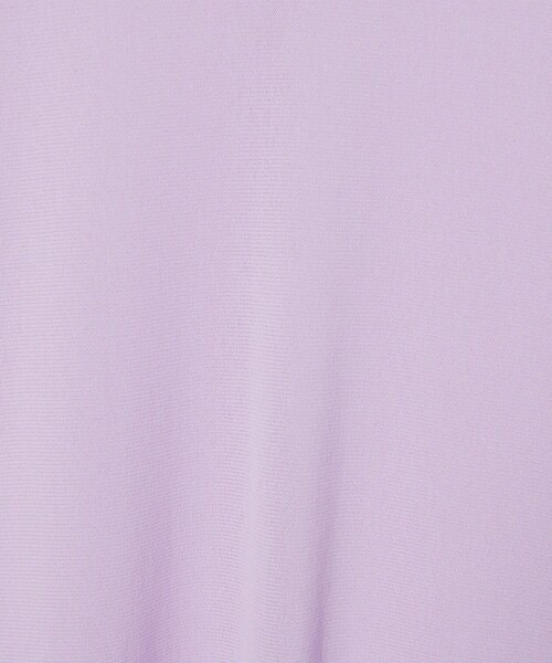EMMEL REFINES(エメルリファインズ)の「<EMMEL REFINES>EM ソフトチュール シアー クルーネック カットソー(Tシャツ/カットソー・レディース・ホワイト/ライラック/ブラック・FREE)」の4枚目の写真