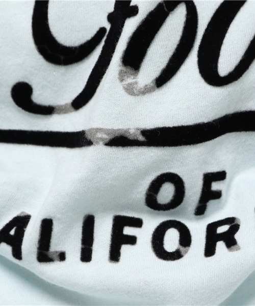 JUNK FOOD(ジャンクフード)の「JUNKFOOD OF CALIFORNIA Tシャツ(Tシャツ/カットソー・レディース・ミント・SMALL)」の9枚目の写真