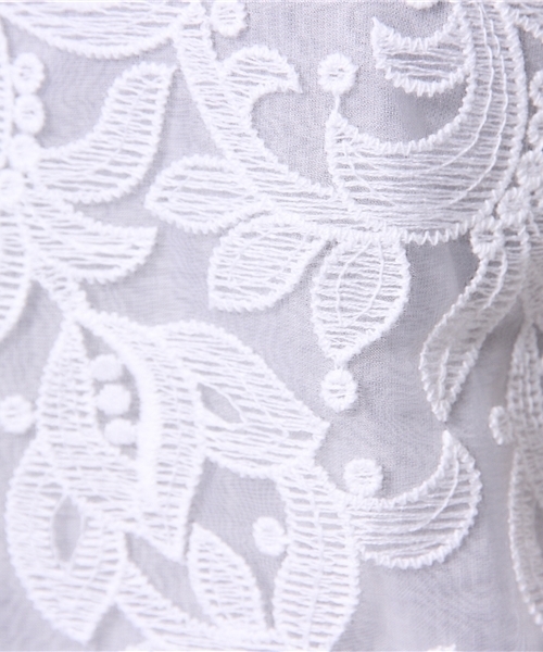 Demi-Luxe BEAMS(デミルクス ビームス)の「Demi-Luxe BEAMS / オーガンジー レースブラウス(シャツ/ブラウス・レディース・ホワイト/ブラック・38/36)」の4枚目の写真