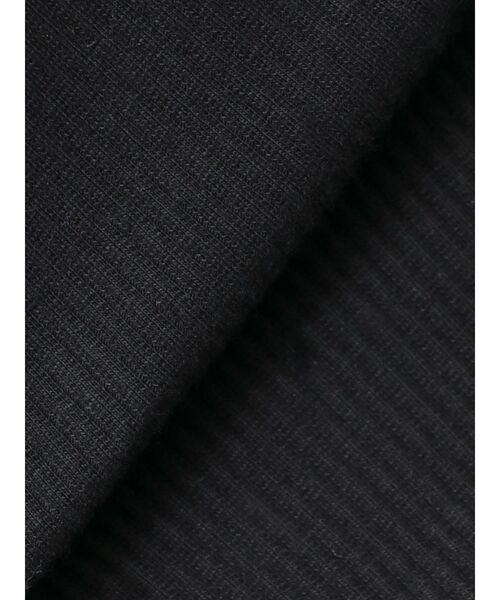 GYDA（ジェイダ）の「two pieceレイヤードテレコワンピース（ワンピース・レディース・ブラック/グレー・FREE）」の9枚目の写真