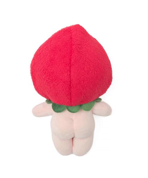 WEGO(ウィゴー)の「WEGO/ぬいいちごキャップ【15cm】(フィギュア・レディース・ライトピンク/レッド・FREE)」の10枚目の写真