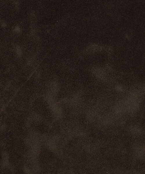 BEAUTY&YOUTH UNITED ARROWS（ビューティーアンドユースユナイテッドアローズ）の「スエードライク チェーン ショルダーバッグ（ショルダーバッグ・レディース・ベージュ/ダークブラウン・FREE）」の10枚目の写真