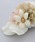 sugar nine�i�V���K�[�i�C���j�́u�_�X�e�B�[�t�����[�p�[���R�T�[�W���y���ƌя����z�i�a�������j�v�b�z���C�g