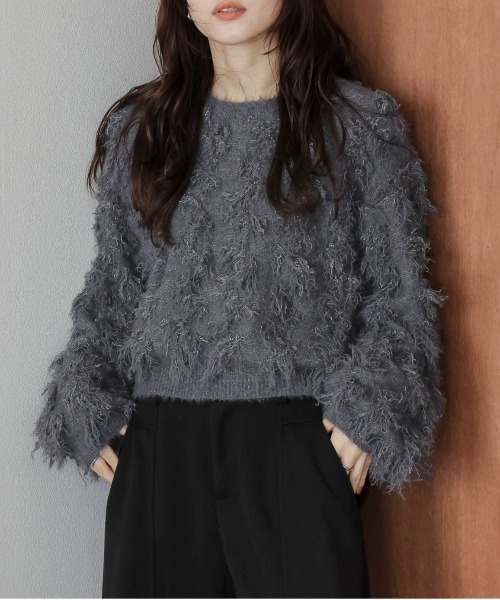 AMELY(エミリー)の「フリンジデザインニットプルオーバー(その他トップス・レディース・グレー/ベージュ/テラコッタ/ブラック・フリー)」の3枚目の写真