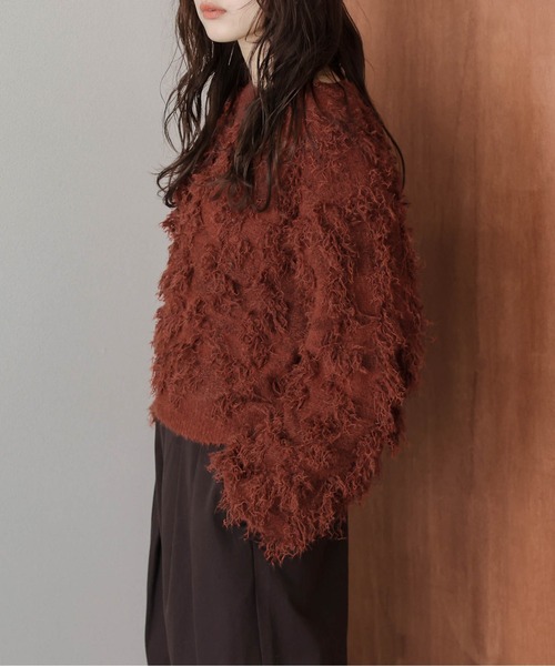 AMELY(エミリー)の「フリンジデザインニットプルオーバー(その他トップス・レディース・グレー/ベージュ/テラコッタ/ブラック・フリー)」の20枚目の写真