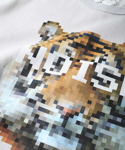 DOT TIGER' BIG-T（Tシャツ/カットソー）｜SHAREEF（シャリーフ