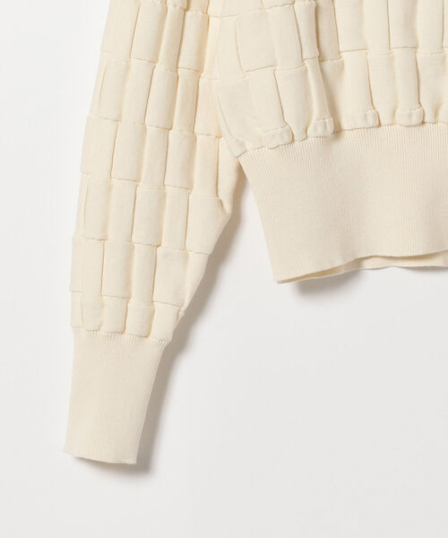 Ray BEAMS（レイビームス）の「Ray BEAMS / バスケットアミ ジップ ポロシャツ（ニット/セーター・レディース・ブラック/オフホワイト・ONE SIZE）」の19枚目の写真