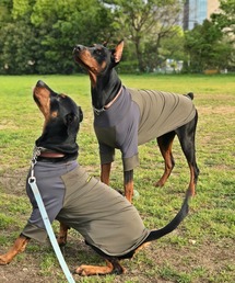 GREEN BOWL（グリーンボウル）の「【GREEN BOWL】オリジナル ストレッチTシャツ / 犬服 / ドッグウェア/ 中型・大型犬 (胴回り62cm)（ペットウェア）」