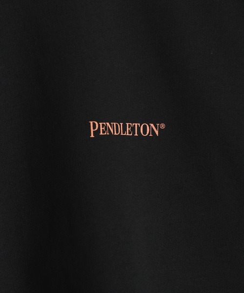 PENDLETON(ペンドルトン)の「【PENDLETON(ペンドルトン)】別注プリントショートTシャツ(Tシャツ/カットソー・レディース・オフホワイト/イエロー/ブラック・FREE)」の17枚目の写真