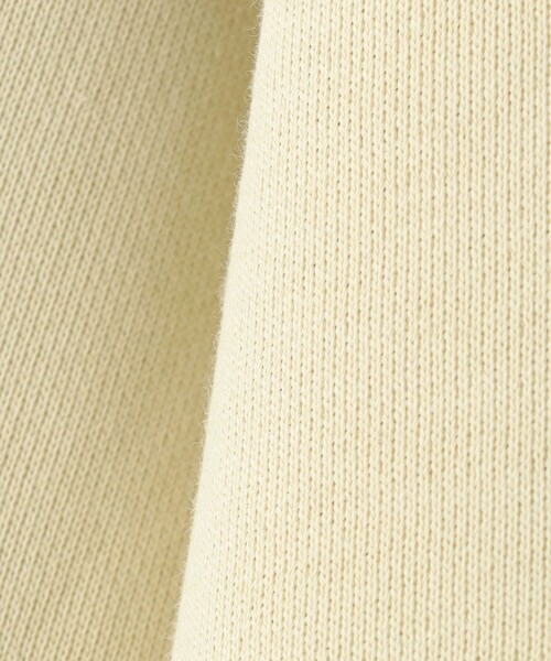 BEAUTY&YOUTH UNITED ARROWS(ビューティーアンドユースユナイテッドアローズ)の「コットン裏毛 ショートポロスウェット プルオーバー(スウェット・レディース・オフホワイト/ブラック/イエロー・FREE)」の19枚目の写真