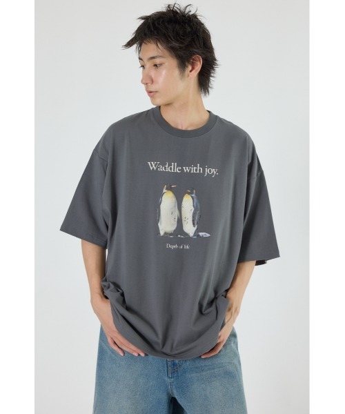 RODEO CROWNS WIDE BOWL(ロデオクラウンズワイドボウル)の「アニマルフォトTシャツ(Tシャツ/カットソー・メンズ・オレンジ/オフホワイト/チャコールグレー・MEDIUM/LARGE)」の3枚目の写真