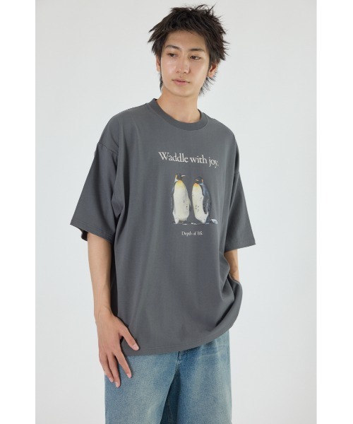 RODEO CROWNS WIDE BOWL(ロデオクラウンズワイドボウル)の「アニマルフォトTシャツ(Tシャツ/カットソー・メンズ・オレンジ/オフホワイト/チャコールグレー・MEDIUM/LARGE)」の16枚目の写真