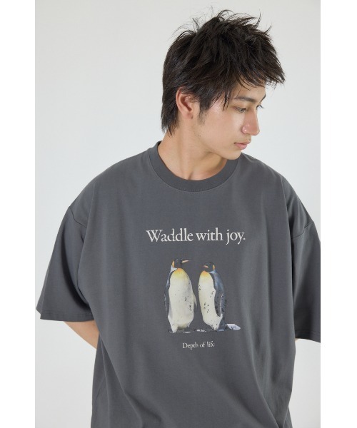 RODEO CROWNS WIDE BOWL(ロデオクラウンズワイドボウル)の「アニマルフォトTシャツ(Tシャツ/カットソー・メンズ・オレンジ/オフホワイト/チャコールグレー・MEDIUM/LARGE)」の15枚目の写真