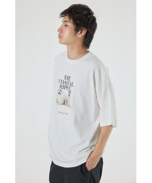 RODEO CROWNS WIDE BOWL(ロデオクラウンズワイドボウル)の「アニマルフォトTシャツ(Tシャツ/カットソー・メンズ・オレンジ/オフホワイト/チャコールグレー・MEDIUM/LARGE)」の22枚目の写真