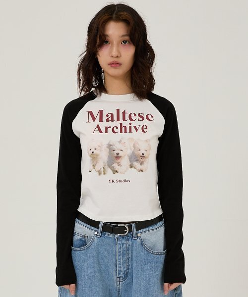 WaiKei（ワイケイ）の「マルチーズアーカイブラグランロングスリーブTシャツアイボリー（Tシャツ/カットソー・レディース・その他・2/0/1）」の3枚目の写真