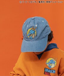 BREEZE(�u���[�Y)�̃h���S���{�[���R���{ �h�J�f�j���L���b�v(�L���b�v)