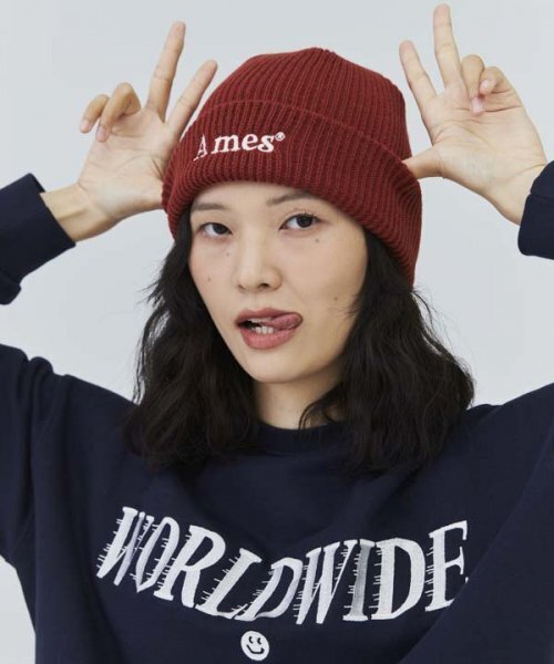 AMESWORLDWIDE（アメスワールドワイド）の「BASIC LOGO BEANIE BRICK（ニットキャップ/ビーニー・レディース・その他・FREE）」の3枚目の写真