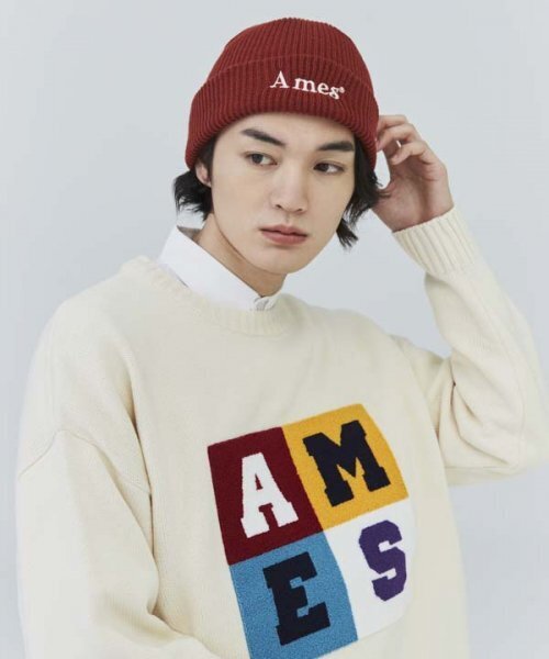 AMESWORLDWIDE（アメスワールドワイド）の「BASIC LOGO BEANIE BRICK（ニットキャップ/ビーニー・レディース・その他・FREE）」の5枚目の写真