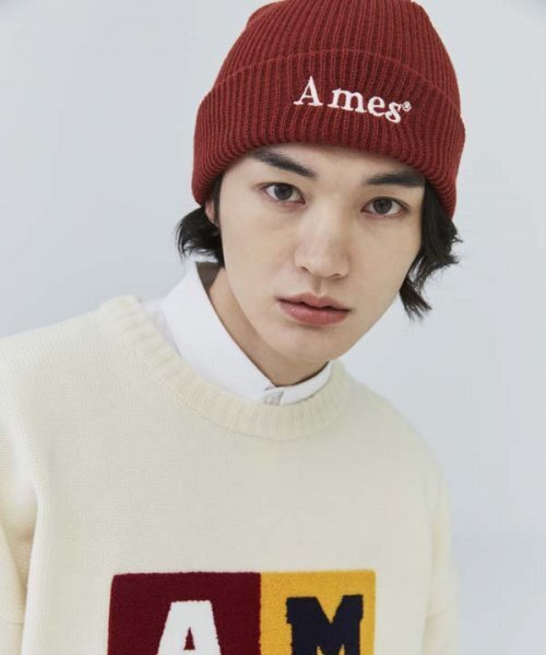 AMESWORLDWIDE（アメスワールドワイド）の「BASIC LOGO BEANIE BRICK（ニットキャップ/ビーニー・レディース・その他・FREE）」の7枚目の写真