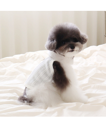 CHIOT（シュオト）の「シオートミューズニットトップ（クリーム）（ペットウェア）」