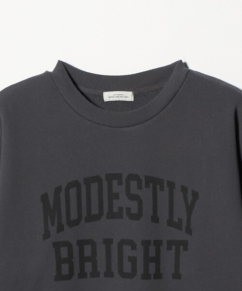 セール】フェード カレッジ ロゴ スウェット プルオーバー（スウェット