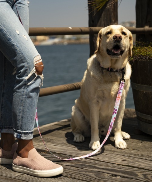 WOLFGANG/ウルフギャング 犬用 リード DigiFloral Leash Mサイズ WL-002-96（リード/ハーネス/首輪）｜WOLFGANG MAN＆BEAST（ウルフギャングマンアンドビースト）