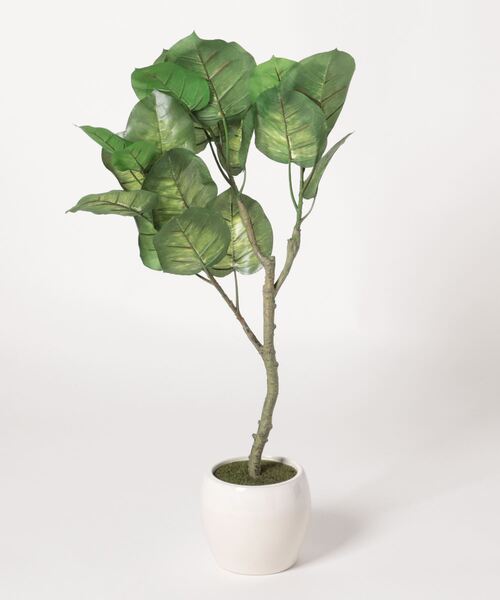 セール】フェイクグリーン フィカス ドラセナ ウンベラータ（フラワー