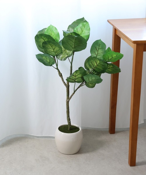 セール】フェイクグリーン フィカス ドラセナ ウンベラータ（フラワー