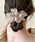 ammy.iGC~[hbgj́uy ammy. / GC~[hbg z VtH ob^iob^/wANbvjvbOCbVx[W