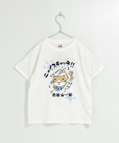 ねこしち 1318697-6 : Dynamic Series Contact: Component To Wire；20