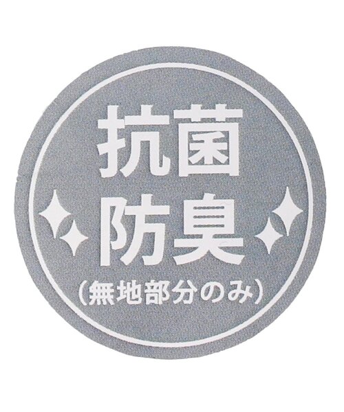 algy（アルジー）の「【抗菌防臭】レイヤード風ラインクルーソックス（ソックス/靴下・キッズ・ブラック/オフホワイト/ミント・21/24）」の15枚目の写真