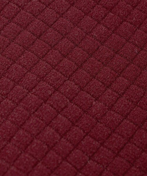 Steven Alan（スティーブンアラン）の「＜F/CE. × Steven Alan＞ FLEECE MUFF/マフラー（マフラー・メンズ・ネイビー/ワイン/ブラック・FREE）」の6枚目の写真