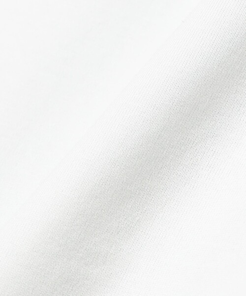 Demi-Luxe BEAMS（デミルクス ビームス）の「【別注】COG THE BIGSMOKE / LISA フレンチスリーブ トップス（Tシャツ/カットソー・レディース・ライトグレー/ブラック/ブラウン系その他2・ONE SIZE）」の21枚目の写真